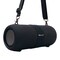 Supersonic Portable Bluetooth Speaker, TWS, Voice Recognition and Built-In Mic (IQ-2323BT)